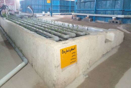 ظرفیت تولید 10تنی در مزرعه مکانیزه آکواپونیک پرورش ماهی شهرستان کرمان