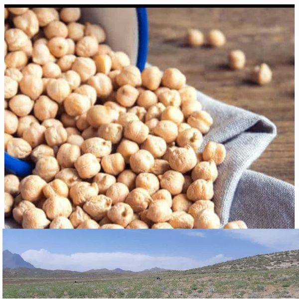 حاصلخیزی خاک در پی کاشت نخود دیم