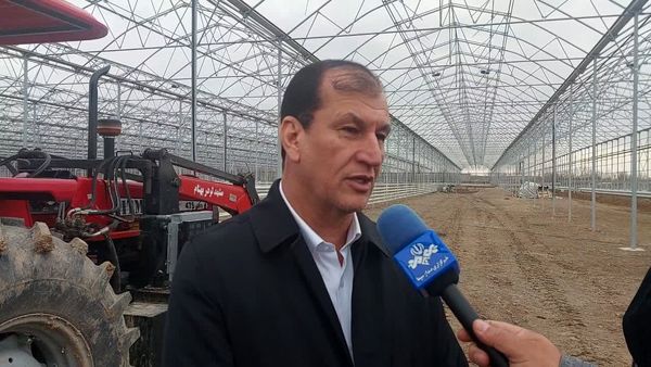 تولید محصولات گلخانه‌ای کشور به ۱۰ میلیون تن می‌رسد