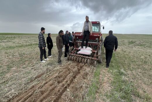 کشت 3هزار و 500 هکتار نخود در شهرستان ویژه میانه / توسعه کشت مستقیم در مزارع دیم