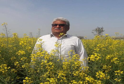 تولید 2.5 کیلوگرم گندم به ازای هر متر مکعب آب