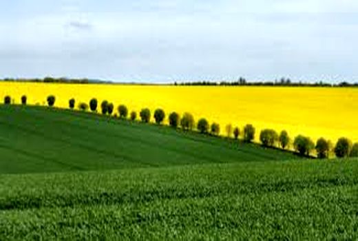 یارانه ۴۰۰ میلیون دلاری لهستان به کشاورزان 