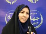 توسعه کسب‌وکارهای زنان روستایی؛ وقت عمل است نه شعار!
