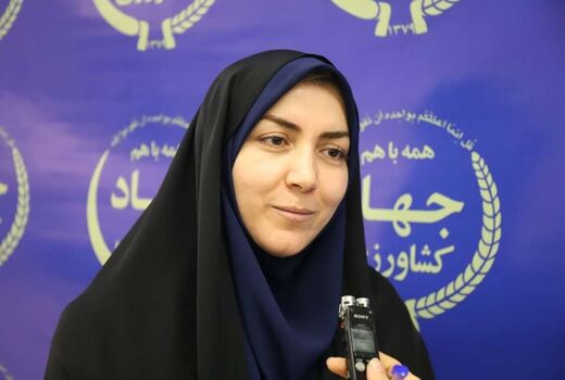 توسعه کسب‌وکارهای زنان روستایی؛ وقت عمل است نه شعار!
