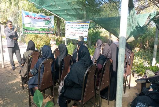 حضور زنان روستایی و عشایری در  طرح کاشت یک میلیارد درخت در خوزستان