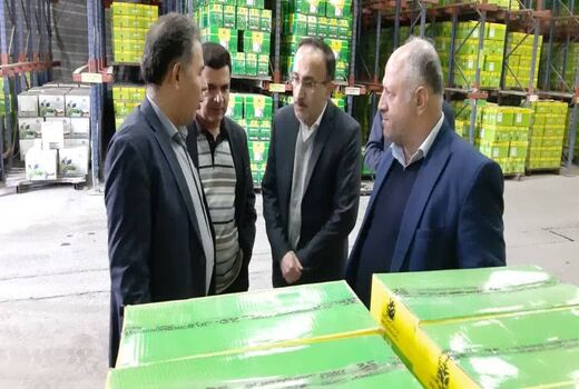 بازدید معاون تولیدات گیاهی سازمان جهاد کشاورزی استان قزوین از کارخانه ملی شیمی کشاورز