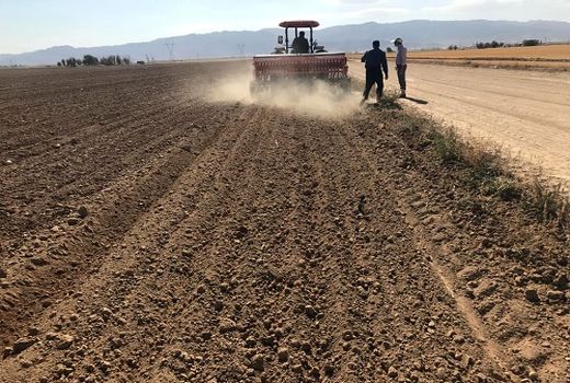5 هزار نفر گندمکار در اقلید آماده کشت 