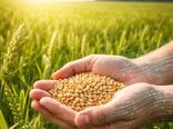 هدف‌گذاری امنیت غذایی و اقتصاد مقاومتی سازمان تات با اتکای به دانش بومی