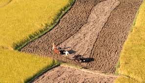 احیای زمین‌های زراعی به نفع طبیعت