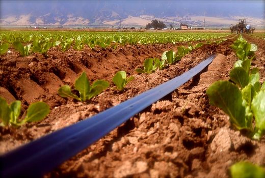 یک هزار و ۴۰۰ هکتار از  اراضی شهرستان لردگان به سیستم‌های نوین آبیاری مجهز شد