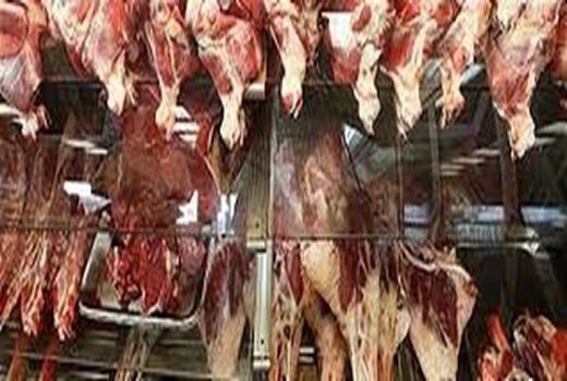 افزایش ۲۵ درصدی تولید گوشت قرمز در فیروزآباد 