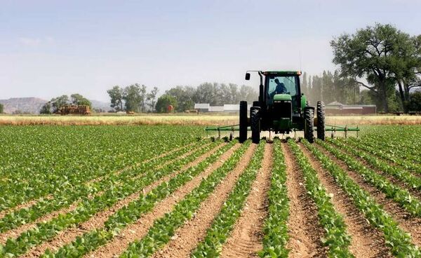 نرخ رشد ارزش افزوده کشاورزی به 3.7 واحد رسید