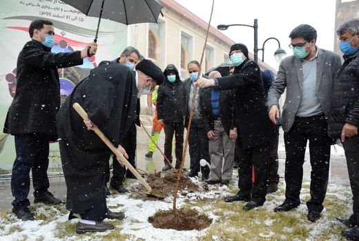 درختکاری بسیار مهم است اما مواظبت از این درخت ها هم بسیار مهم است