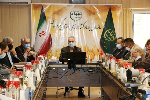 480هزار هکتار از دیمزارهای کردستان زیرپوشش طرح جهش تولید قرار می‌گیرد