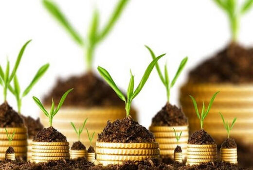 امکان ثبت خسارات بیمه کشاورزی از طریق کد دستوری تلفن همراه فراهم شد