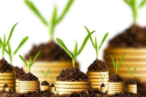 امکان ثبت خسارات بیمه کشاورزی از طریق کد دستوری تلفن همراه فراهم شد