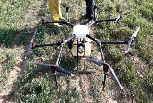 ۷۱ کشاورز در بویین زهرا با نحوه مبارزه اصولی با سن غلات آشنا شدند