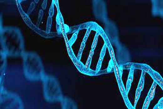 در حسرت خوردن یک تکه نان معمولی