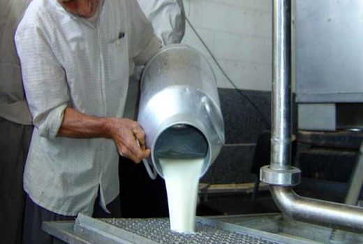 تولید روزانه بیش از ۴ هزار تن شیر خام در استان اصفهان