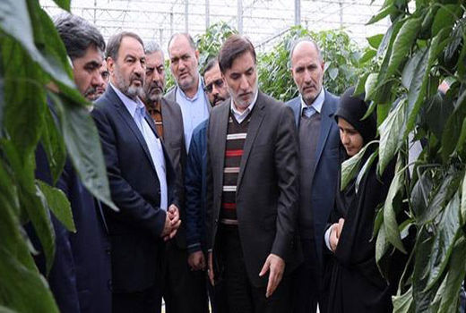 افزایش وسعت مجتمع‌های گلخانه‌ای  جلفا از ۲۲۰ هکتار فعال فعلی به ۵۰۰ هکتار