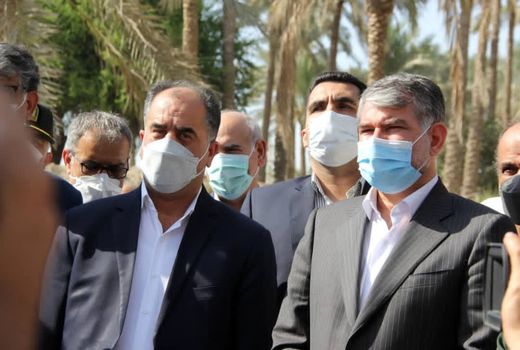  پروژه آبیاری نخیلات آبپخش بوشهر با ۶۵ میلیارد تومان در دست اجرا است