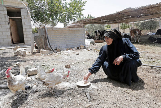 کمک به کشاورزان کمک به صلح است