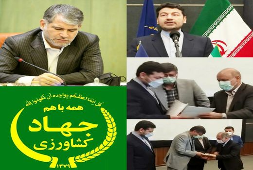 سرپرست سازمان جهاد کشاورزی استان گلستان منصوب شد