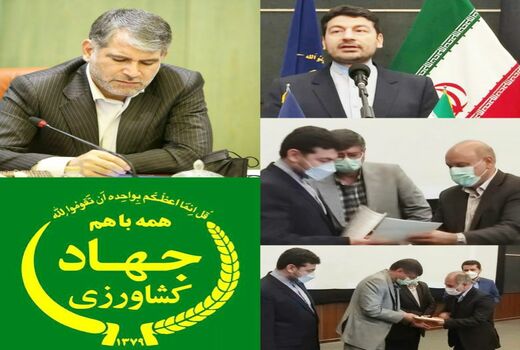 سرپرست سازمان جهاد کشاورزی استان گلستان منصوب شد