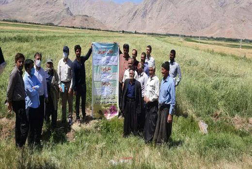 برگزاری دوره آموزشی مبارزه با علفهای هرز در شهرجونقان