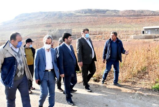  بازدید رئیس سازمان جهادکشاورزی استان از نهالستان قیزیل گل قاضیجهان در شهرستان آذرشهر