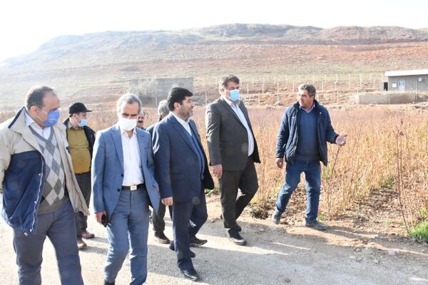  بازدید رئیس سازمان جهادکشاورزی استان از نهالستان قیزیل گل قاضیجهان در شهرستان آذرشهر