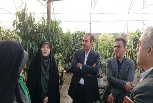 بازدید مدیر کل امور بانوان و خانواده استانداری آذربایجان غربی از محل کسب و کاربانوی کارآفرین در روستای قره حسنلو ارومیه

