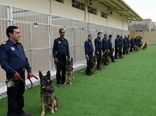 راه‌اندازی مرکز آموزش سگ‌های موادیاب گمرک