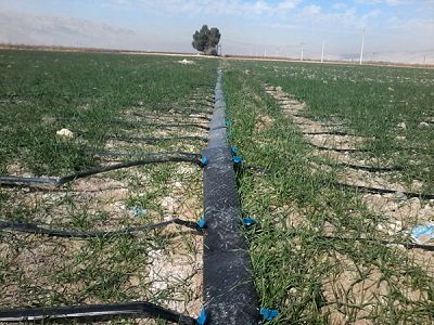 افزایش بهره‌وری آب در بخش کشاورزی اصفهان