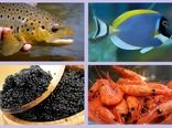 افزایش 34 میلیون دلاری تراز تجاری شیلات در پنج ماهه ابتدایی امسال/ صادرات 32 هزار و 824 تن انواع آبزی/ صادرات 400 کیلوگرم خاویار پرورشی ایرانی