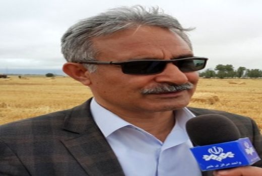 افتتاح بزرگترین گلخانه تولیدی گل رز هلندی به ظرفیت 1 میلیون شاخه بریده  درسال 