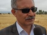 افتتاح بزرگترین گلخانه تولیدی گل رز هلندی به ظرفیت 1 میلیون شاخه بریده  درسال 