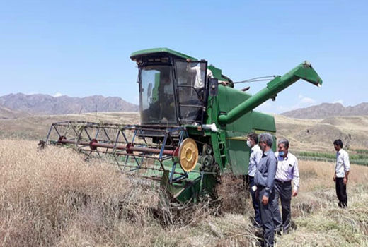 معاینه فنی و نظارت در ریزش و ضایعات کمباین های برداشت غلات و کلزا در خداآفرین