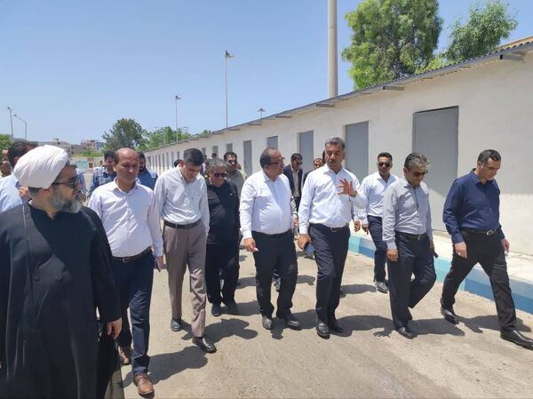 بازدید معاون توسعه دریامحور از مزارع مدرن پرورش میگو در دلوار بوشهر