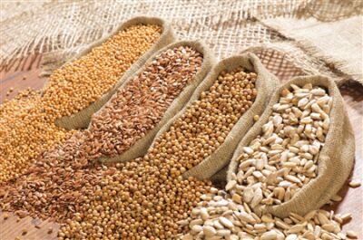 واردات ۲ میلیون و ۱۳۳ هزار تن دانه‌های روغنی به کشور