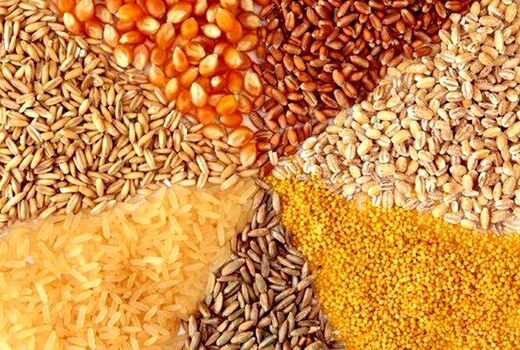 از توزیع بیش از پنج هزار تن کود تا بیش از 850 تن خوراک دام در شوش