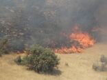 برافروختن آتش در مراتع و جنگل‌های استان سمنان ممنوع! روز طبعیت باعث آتش سوزی نشویم