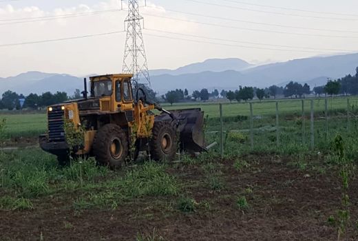 ۳ هکتار از اراضی کشاورزی البرز آزادسازی شد ‌