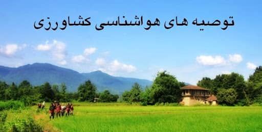 توصیه به بهرهبرداران بخش کشاورزی برای خسارت احتمالی سرمازدگی و تندباد