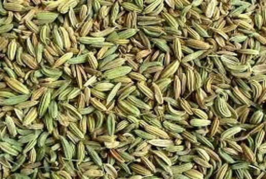 برگزاری کلاس آموزشی کشت گیاه دارویی زیره سبز در بخش چترود
