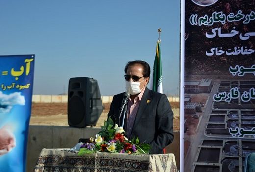 زراعت چوب در راستای حفاظت از جنگل ها و خاک 