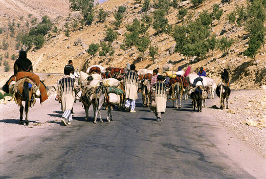 آغاز کوچ عشایر به هرمزگان