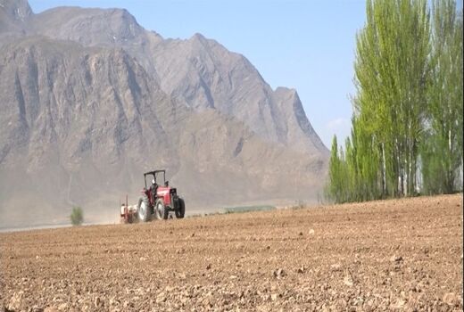 آغاز کاشت چغندر قند در فریدن