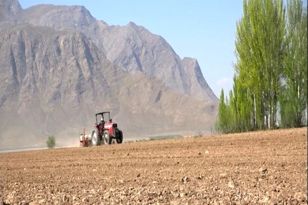 آغاز کاشت چغندر قند در فریدن