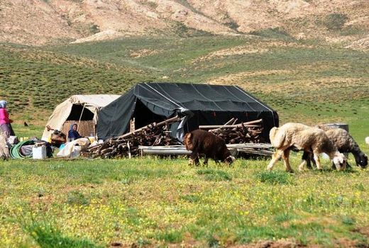 نام گذاری سال ۲۰۲۶ به‌عنوان سال بین‌المللی مرتع و عشایر از سوی مجمع عمومی ملل متحد